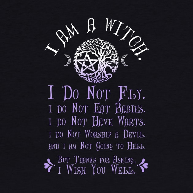 Wiccan Pagan Witch T-Shirt I am a Witch Misconceptions Tee by BeesEz